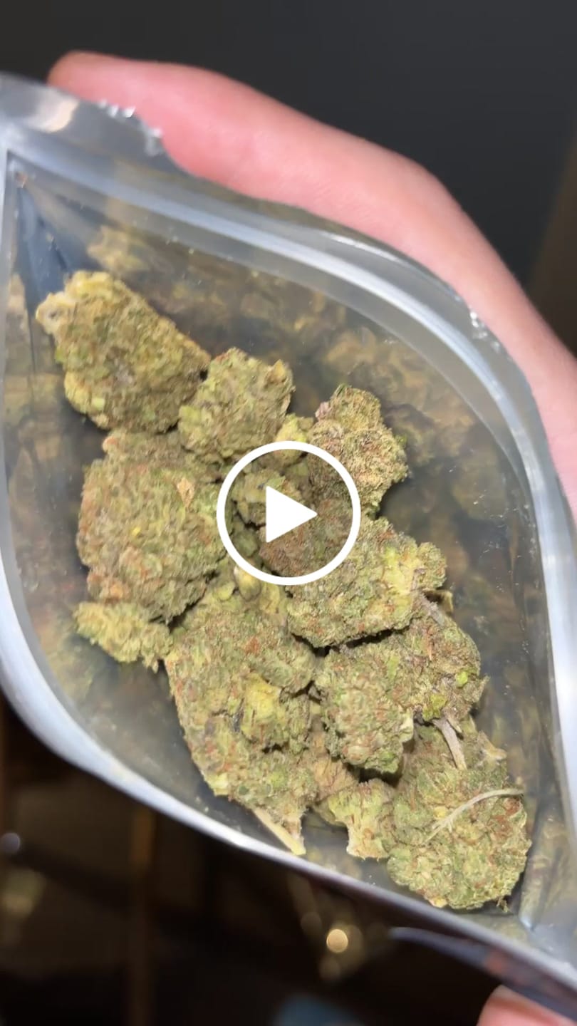 Customer video review of THCA Queen