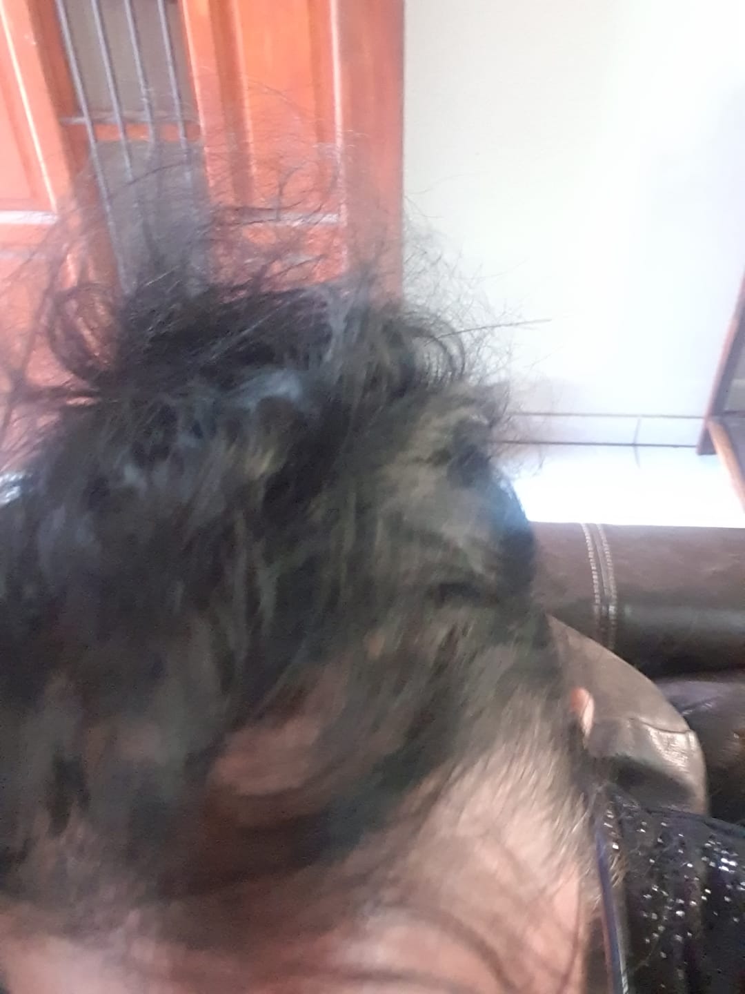 Customer photo review of Cowgirls Sulfate-Free Shampoo With Biotin