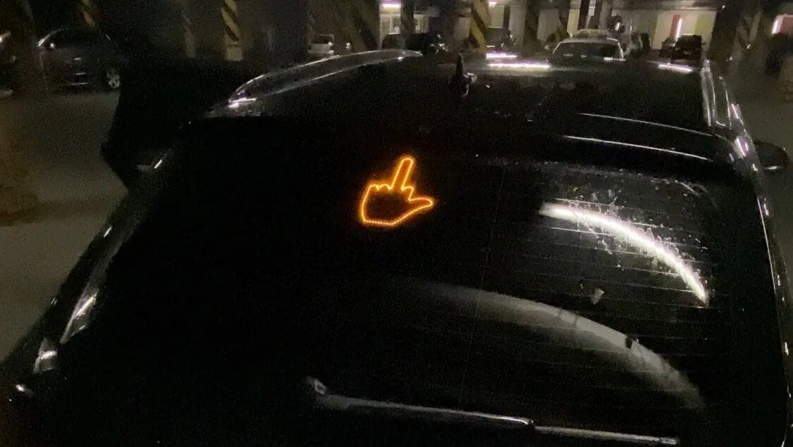 Customer photo review of BirdFlipper™ - Led Hand Sign