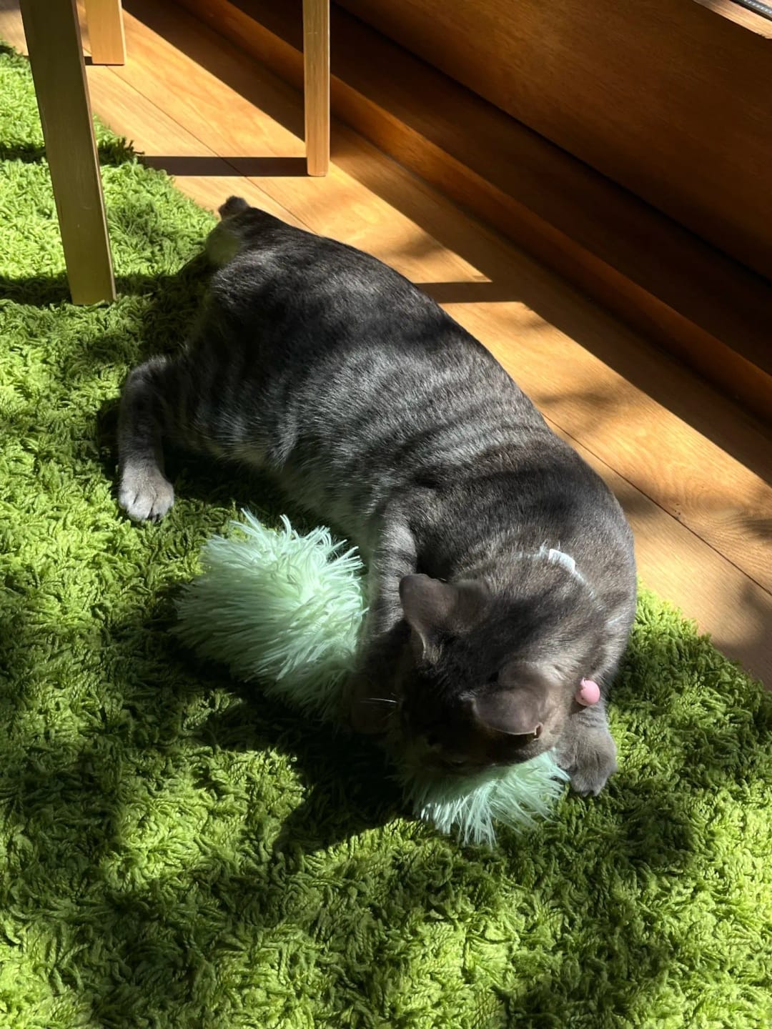 Customer photo review of Catnip Tail Kicker Toys 3 Pack
