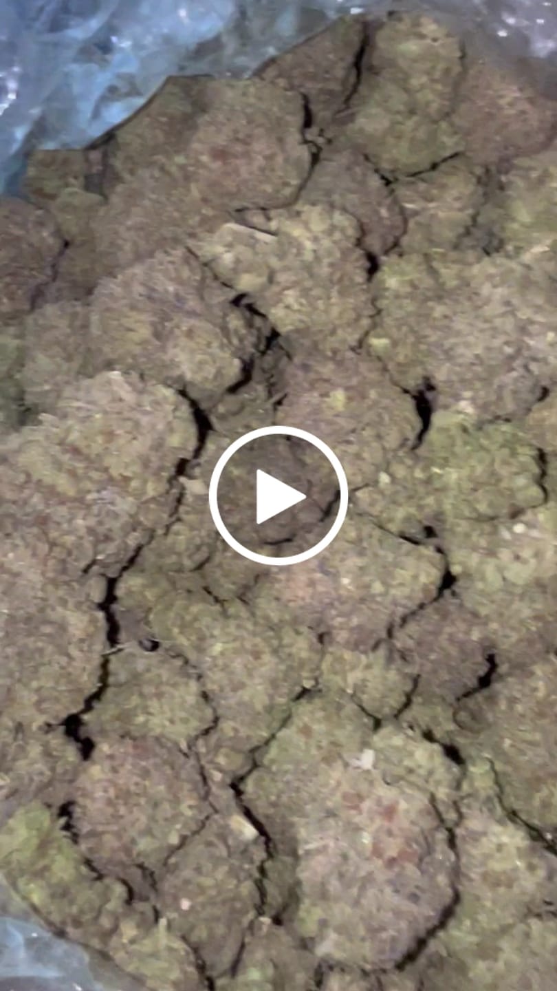 Customer video review of Gorilla Glue THCA Flower (Purple Cut)