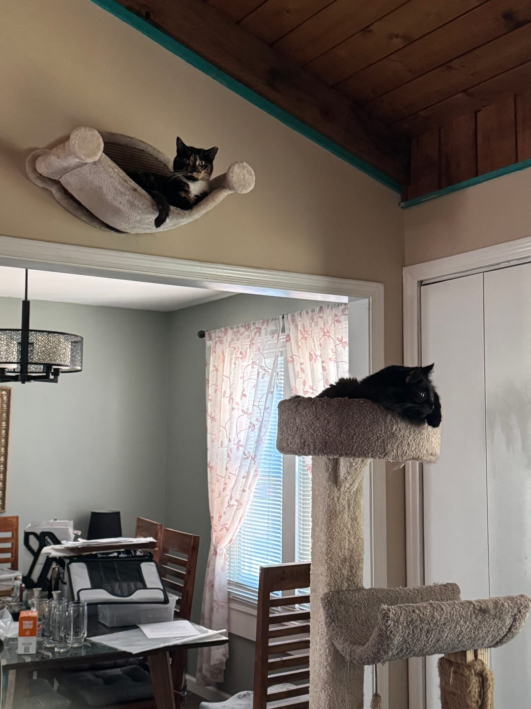 Customer photo review of Cloud Nine Silver Vine - 2 sizes