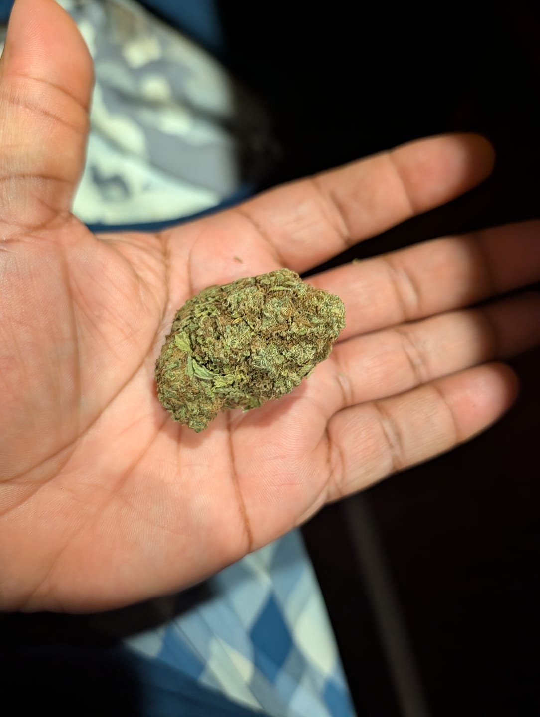 Customer photo review of Gorilla Glue THCA Flower
