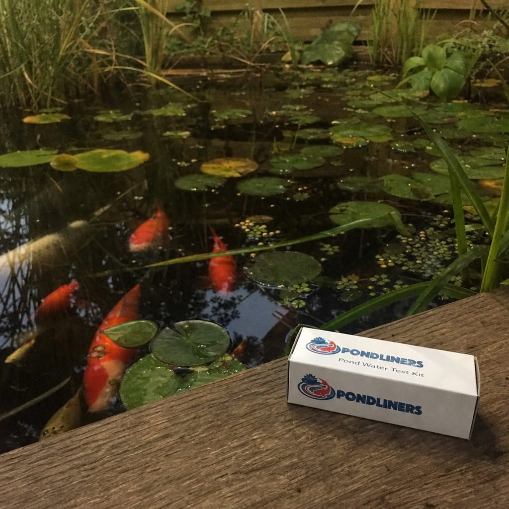 Customer photo review of Pond Water Test Kit UK | Tests pH, Ammonia, Nitrite & More | Koi & Garden Ponds
