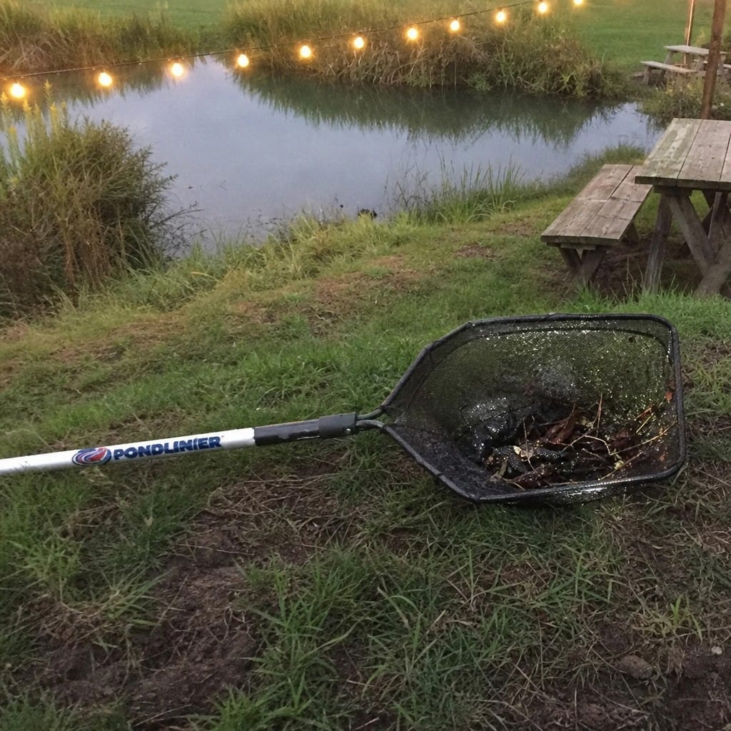 Customer photo review of Heavy Duty Pond Skimmer Net UK | Self-Repair Mesh | Long Handle | Leaves & Debris
