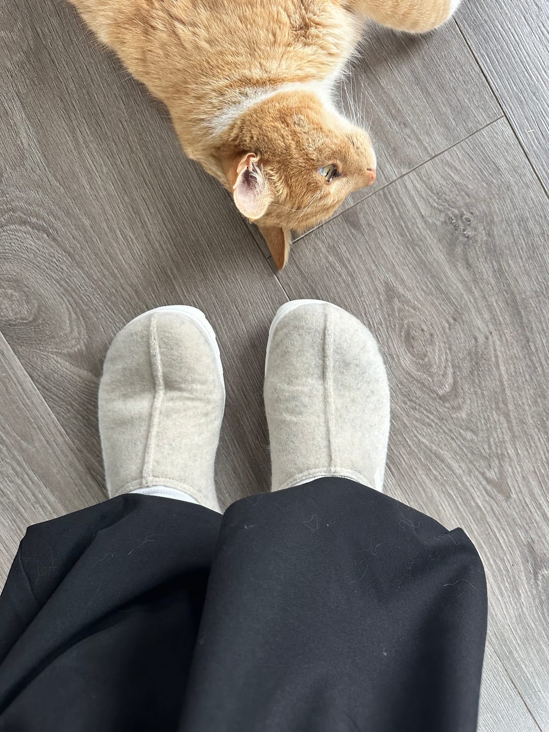 Customer photo review of Vaistoa Toive | Felt Barefoot Slippers