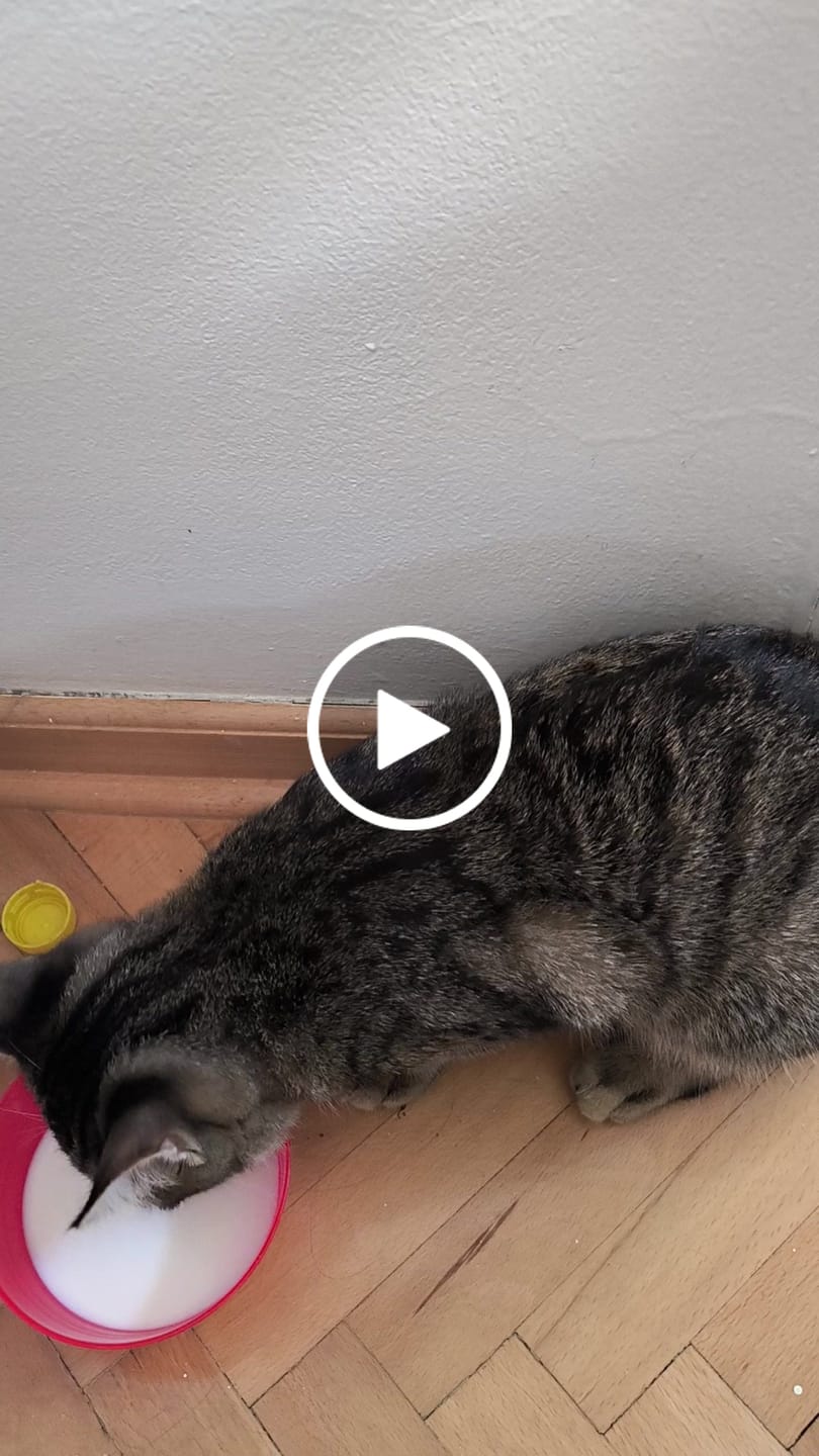 Customer video review of Automatska četka za Čišćenje Kućnih Ljubimaca