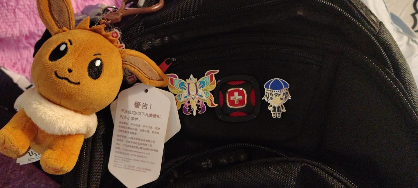 Customer photo review of Terraria - Empress of Light XL Pin