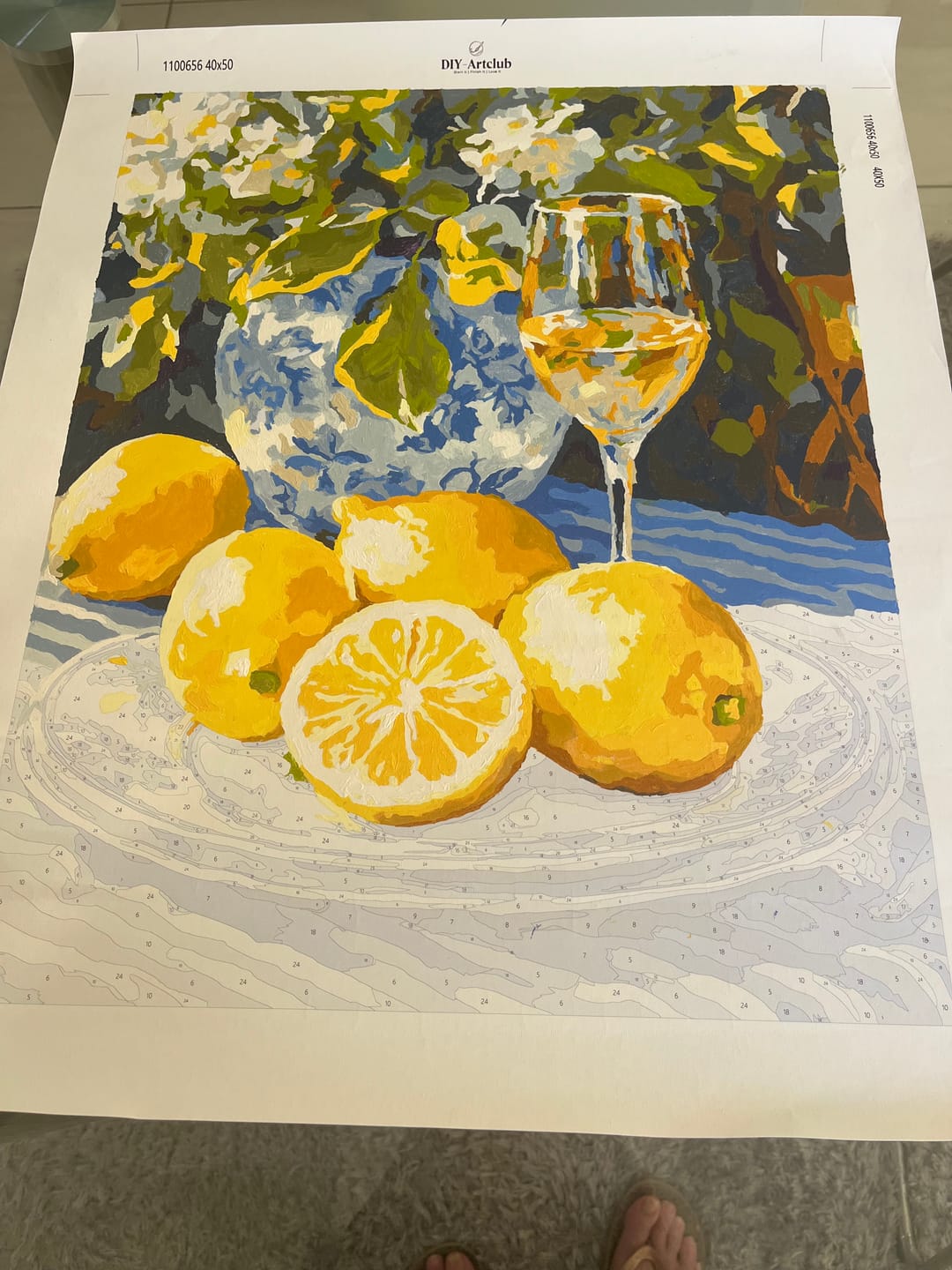 Customer photo review of Lemons and Wine | Paint by Numbers