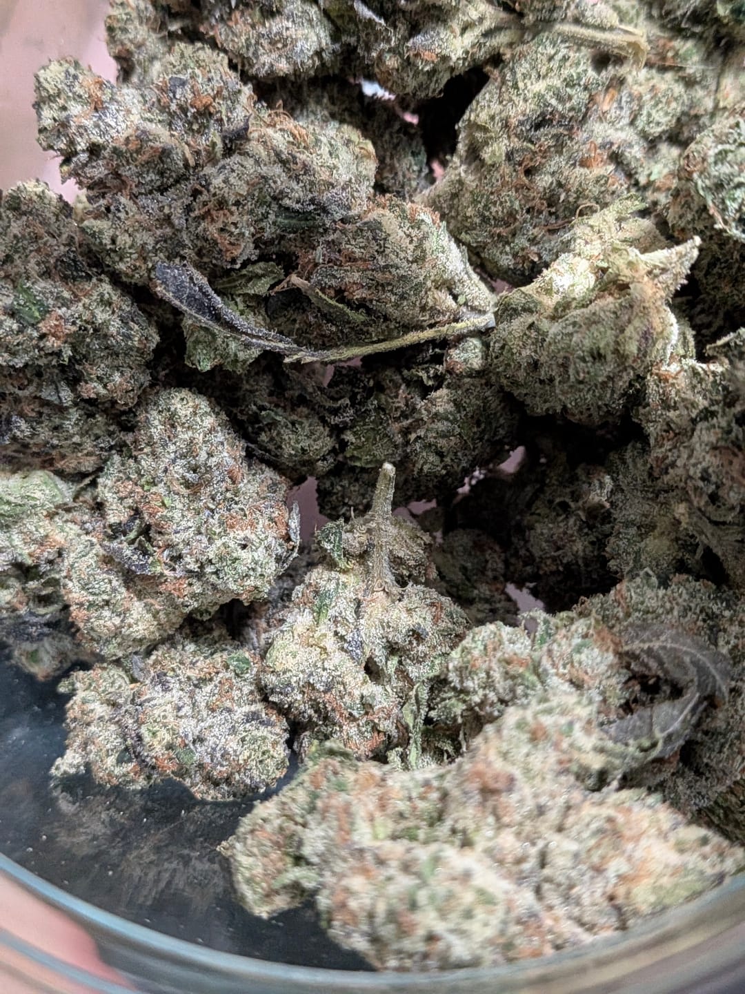 Customer photo review of Runtz THCA Flower (Budget)