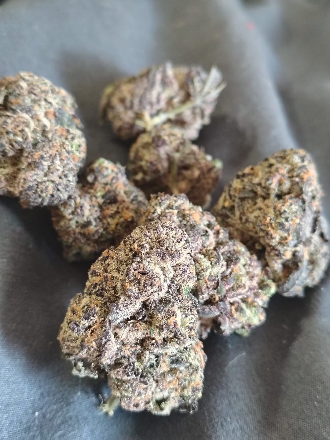 Customer photo review of Watermelon Zkittlez THCA Flower (Exotic)