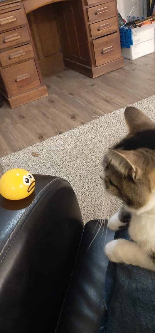 Customer photo review of Puking Ball® – The Original Slime Squishy Toys