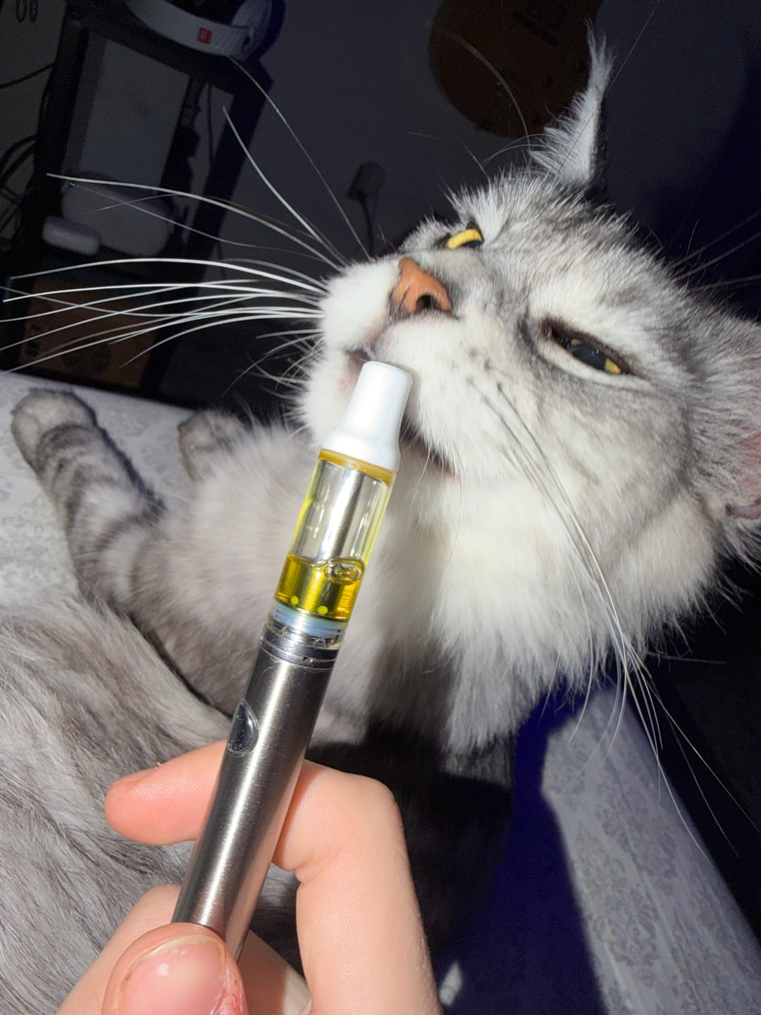 Customer photo review of KIND - 510 Thread - 2G THCa Live Resin