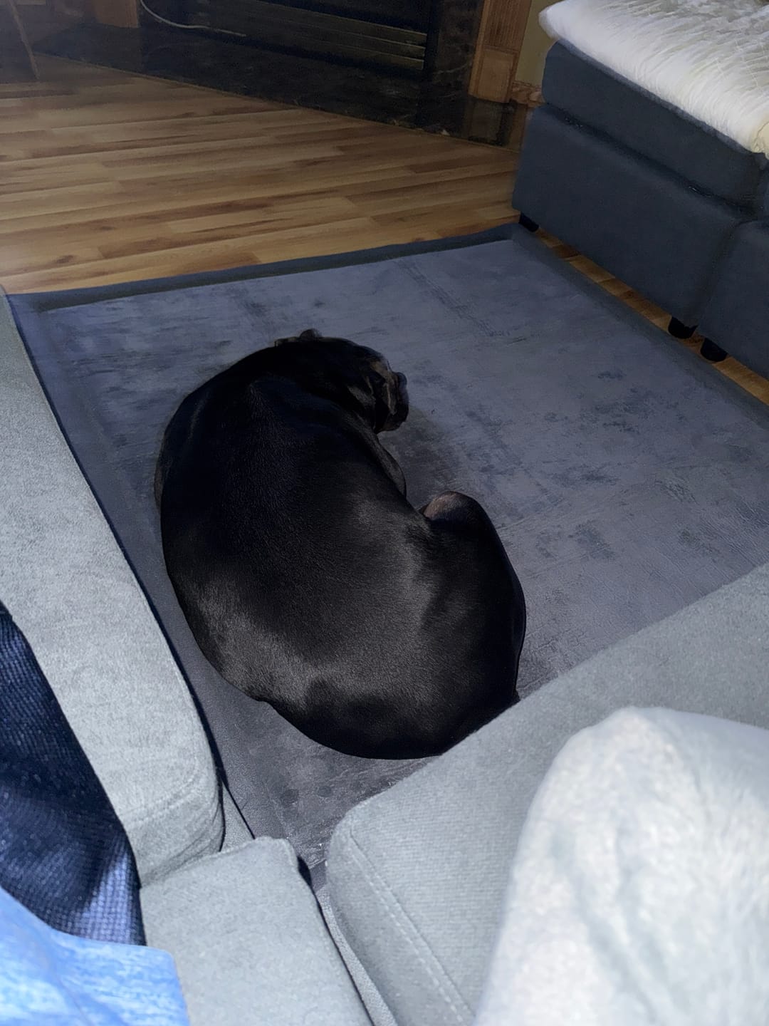 Customer photo review of Relax Mat - 1.4" Thick Soft Foam Play Mat