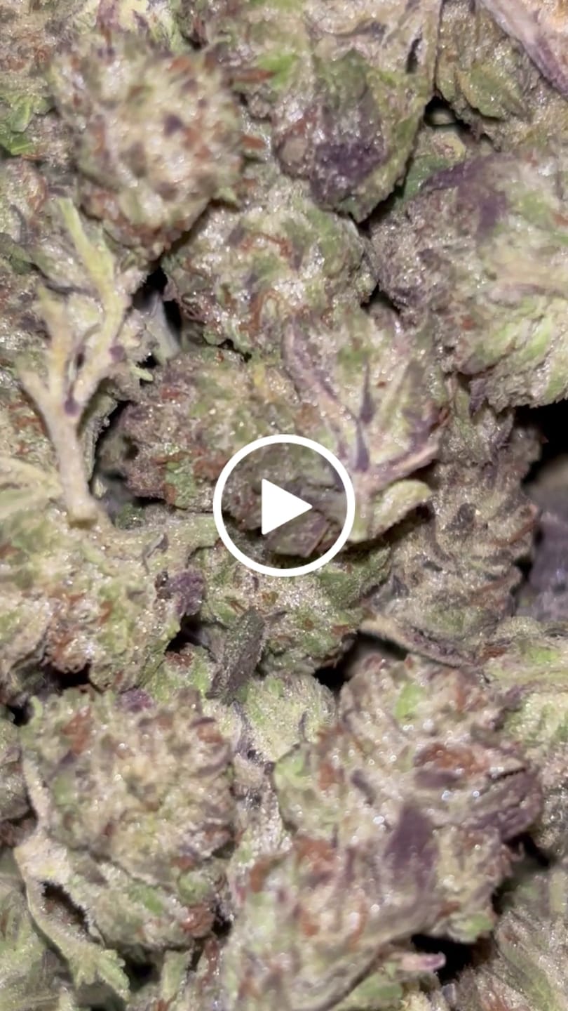 Customer video review of Blue Crack THCA Flower