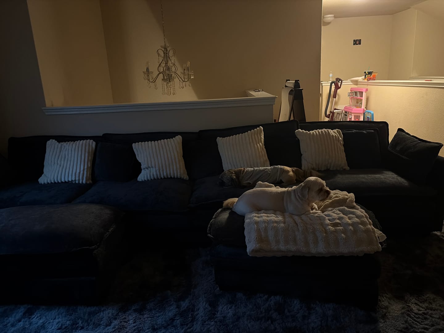 Customer photo review of 149.2 Inch Cloudy Luxury Thickened Cushion Modular Sofa