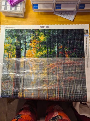 Customer photo review of Sunlit Woodland Trail (Diamond Painting)
