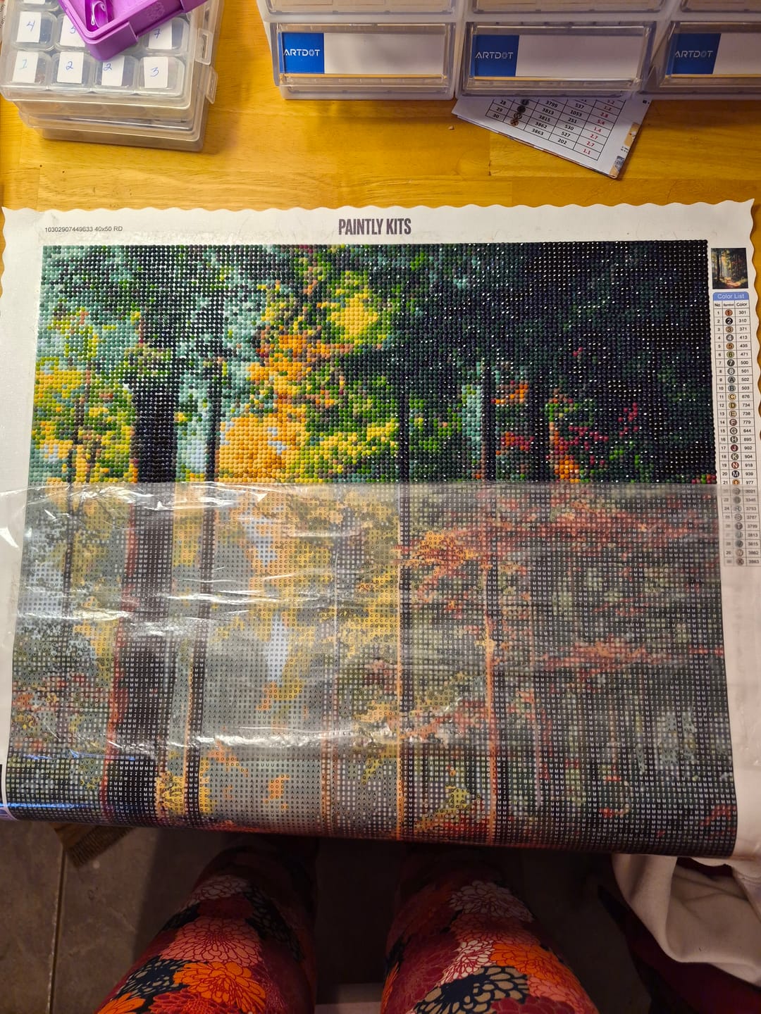 Customer photo review of Sunlit Woodland Trail (Diamond Painting)