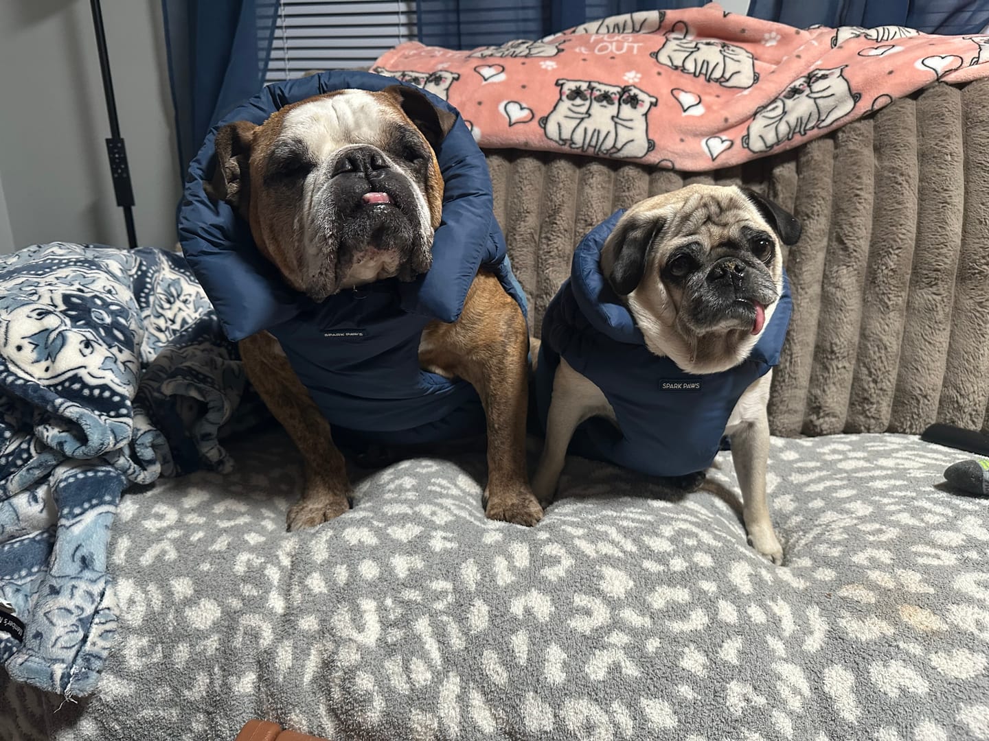 Customer photo review of PuffShield Winter Jacket - Blue