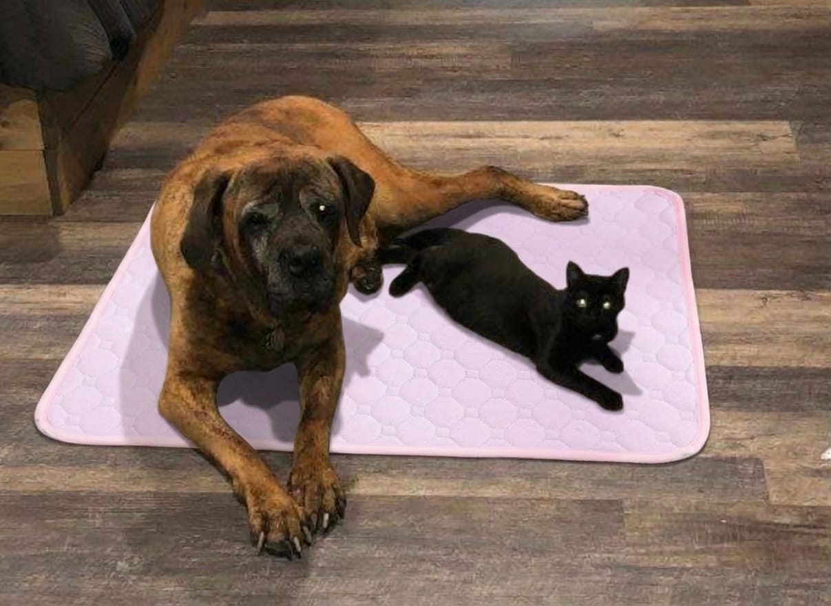Customer photo review of Pawloo™ Tapete Inteligente para Perros