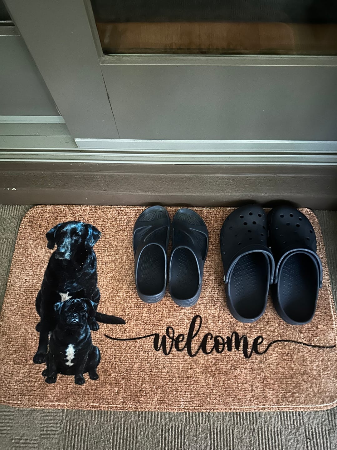 Customer photo review of Welcome with Pet Portrait - Personalized Doormat