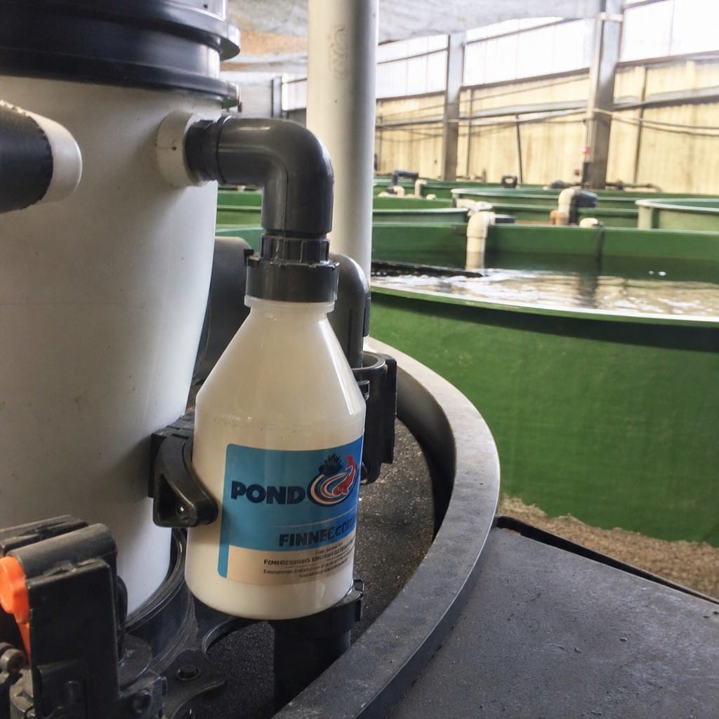 Customer photo review of Pond Filter Start Bacteria UK | Kick-Starts New Filters | Liquid Beneficial Bacteria | 500ml