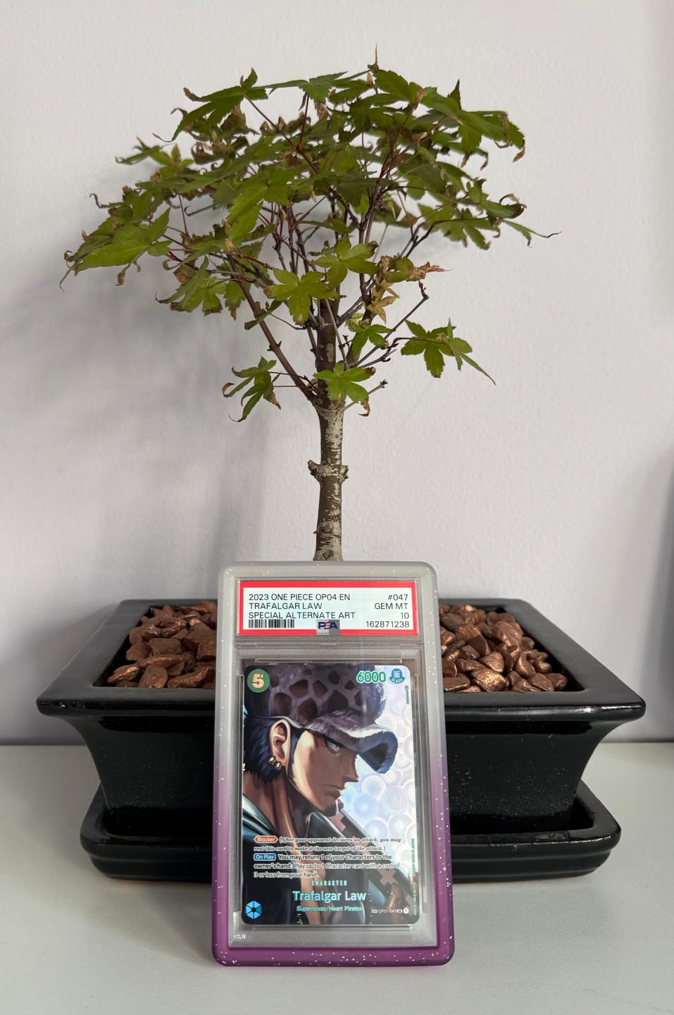 Customer photo review of Purple Amethyst- Graded Card Bumper