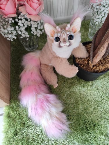 Customer photo review of Ring-tailed cat– Grey