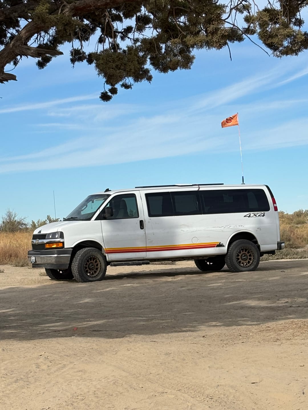 Customer photo review of Van Mountain Stripe Decals – Fits VW Transporter, Multivan, T4, T5, T6 & More
