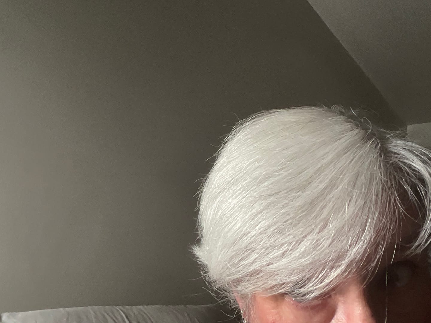Customer photo review of Purple Shampoo