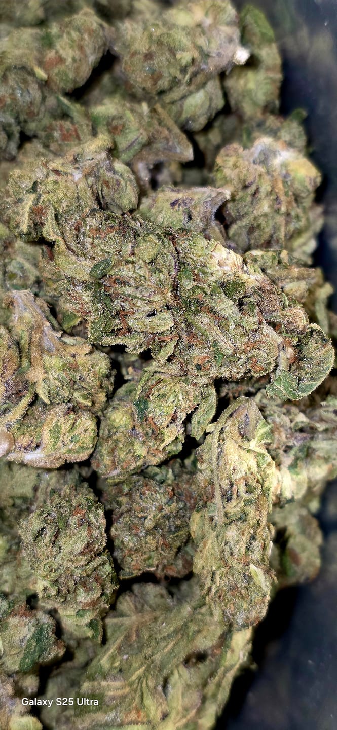 Customer photo review of Cheap THCA Flower Quarter Pound