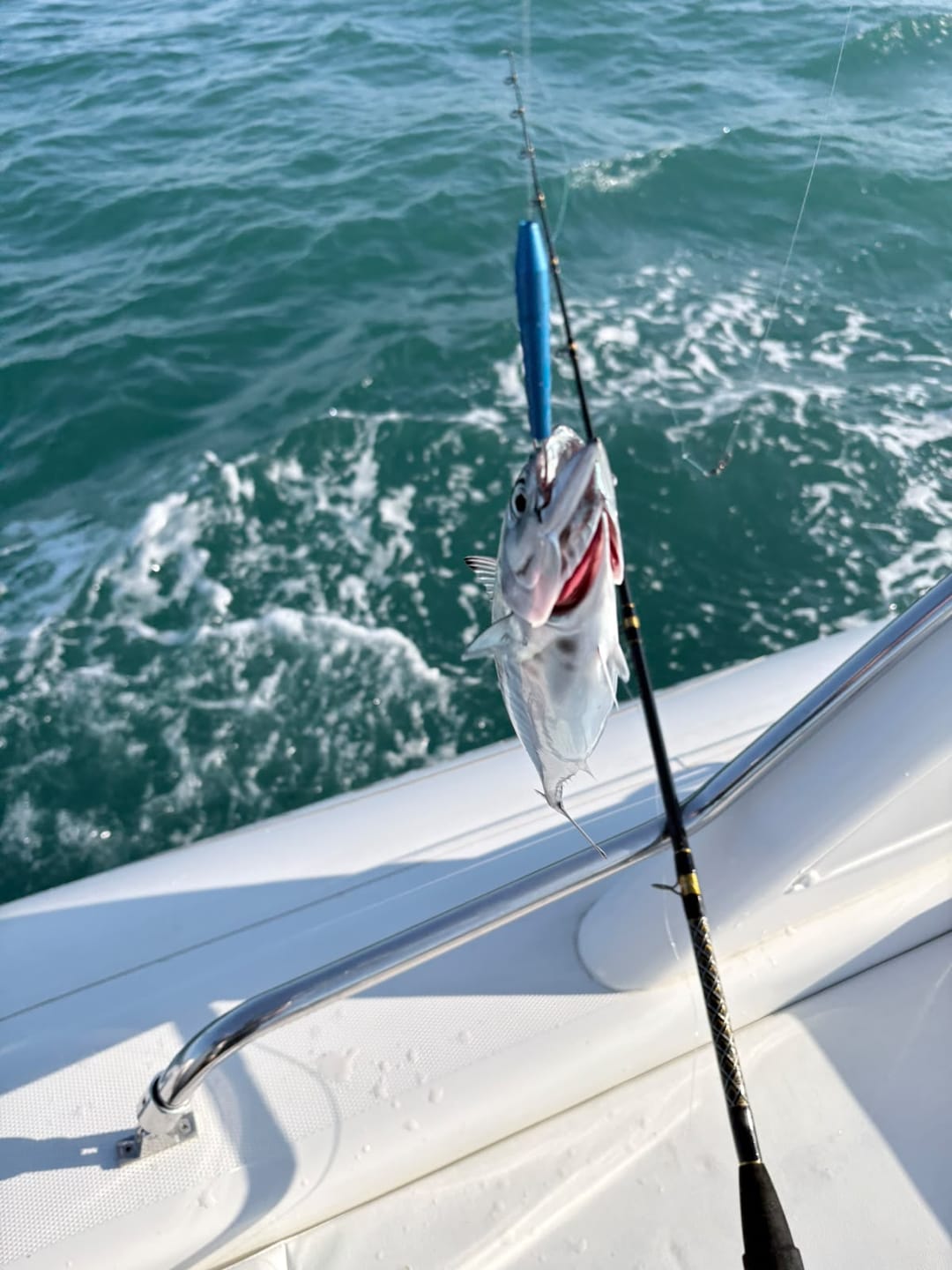 Customer photo review of Bonito Stick