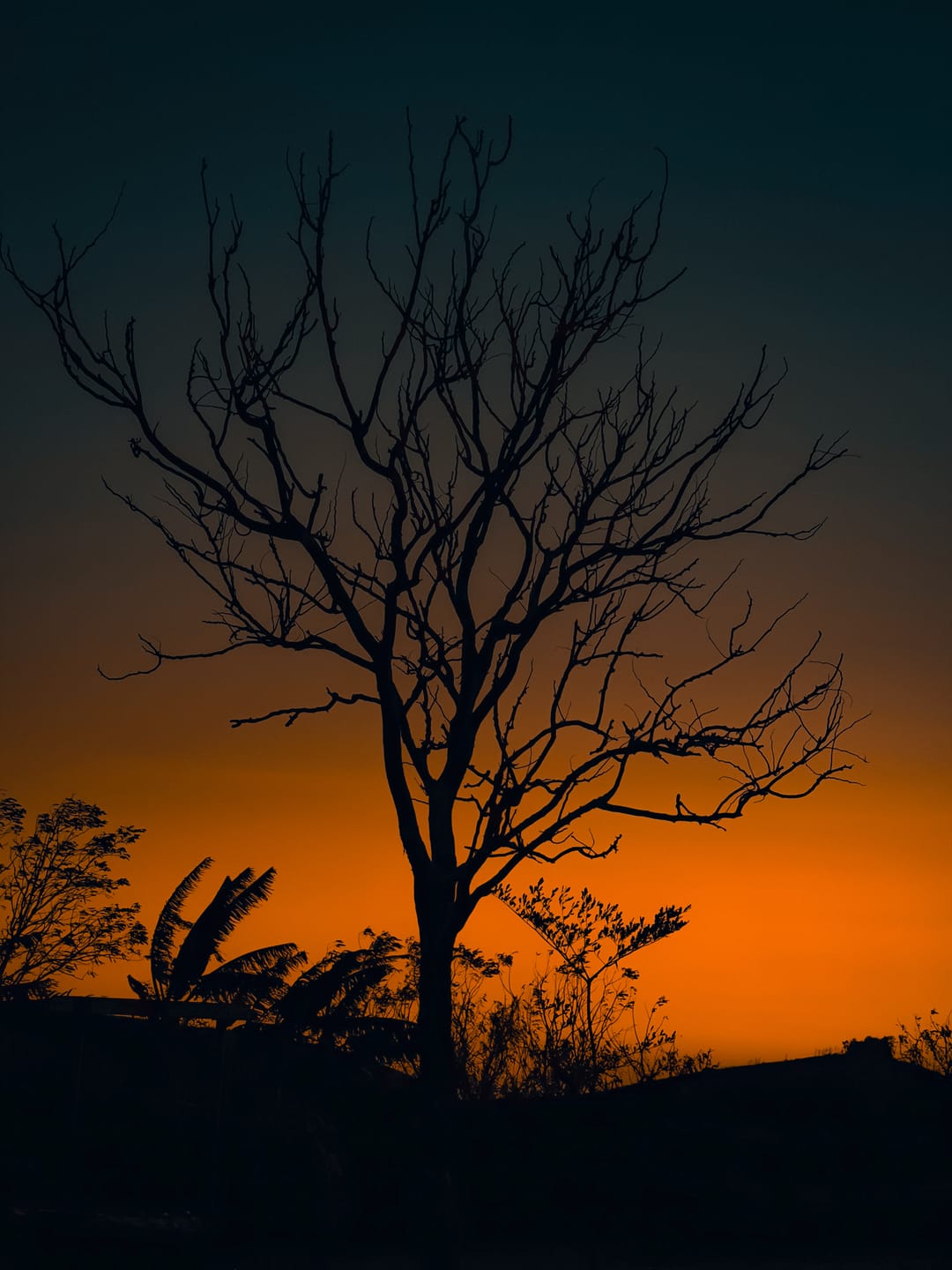 Customer photo review of MINI PRESETS PACK