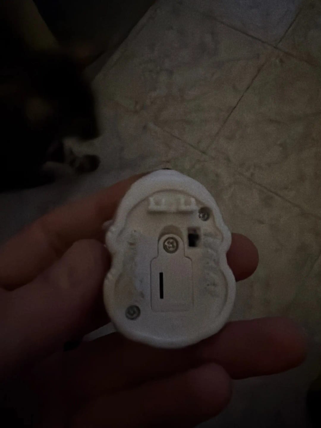 Customer photo review of Soft Touch Automatic Moving Mouse Cat Toy