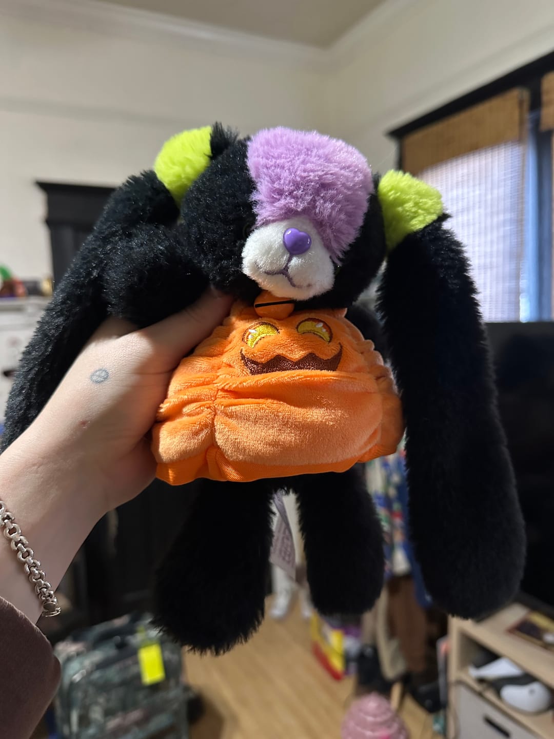 Customer photo review of Pumpkin Costume for Noopy Plush