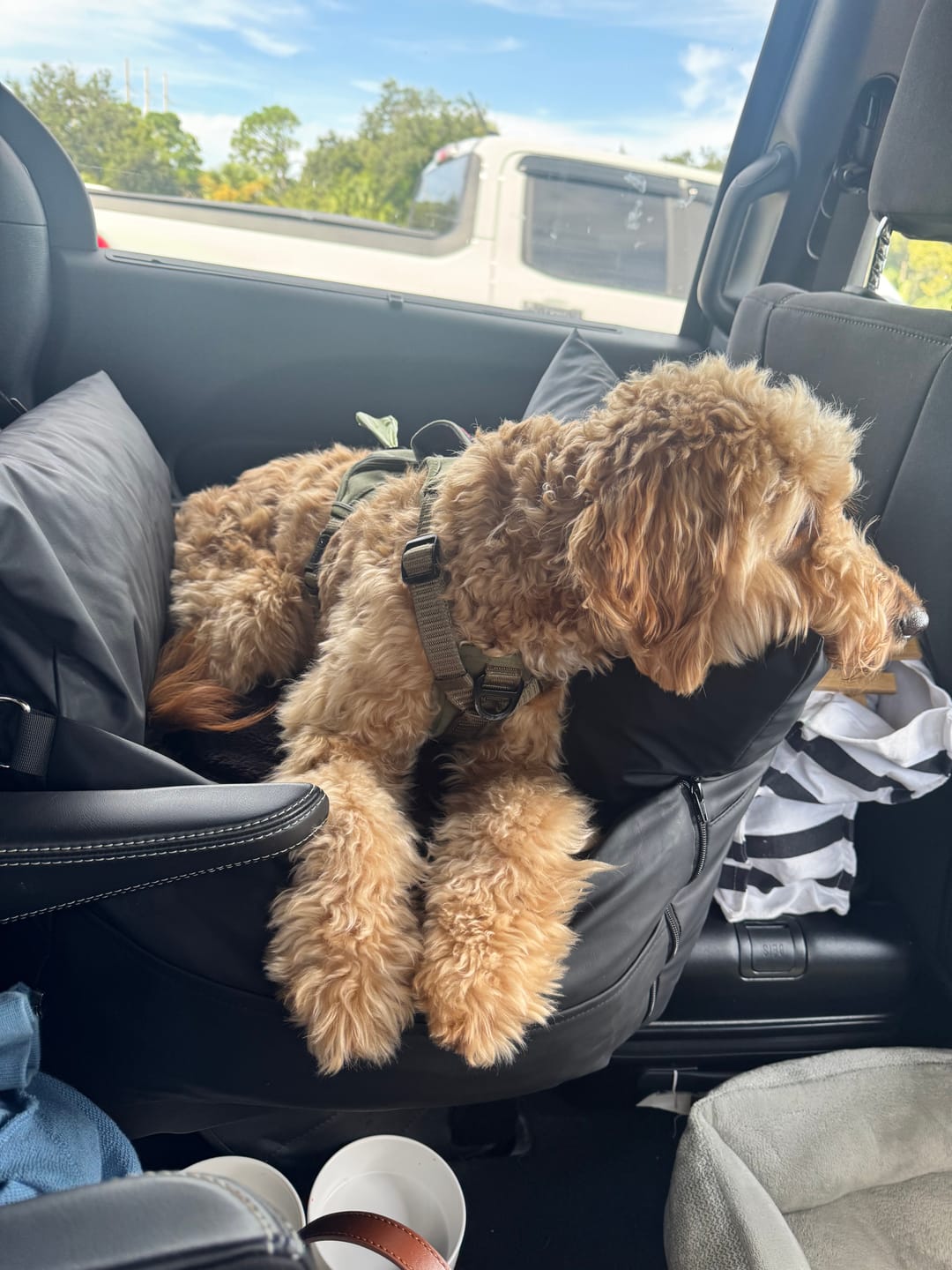 Customer photo review of Dog Dock V2 New With Latch Anchors PRE ORDER