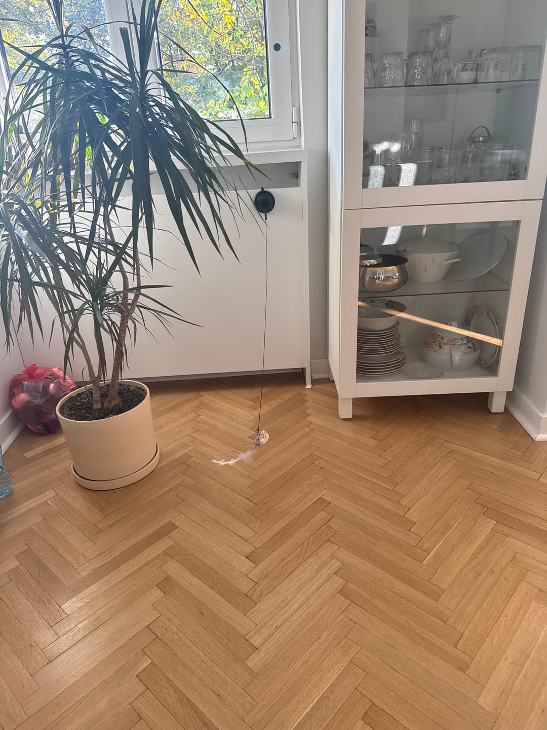 Customer photo review of Interactive Bird Simulation Cat Toy Set
