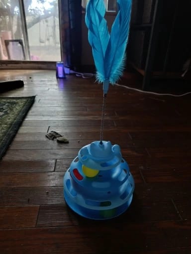 Customer photo review of Three Tier Cat Ball Track Toy with Feather Teaser