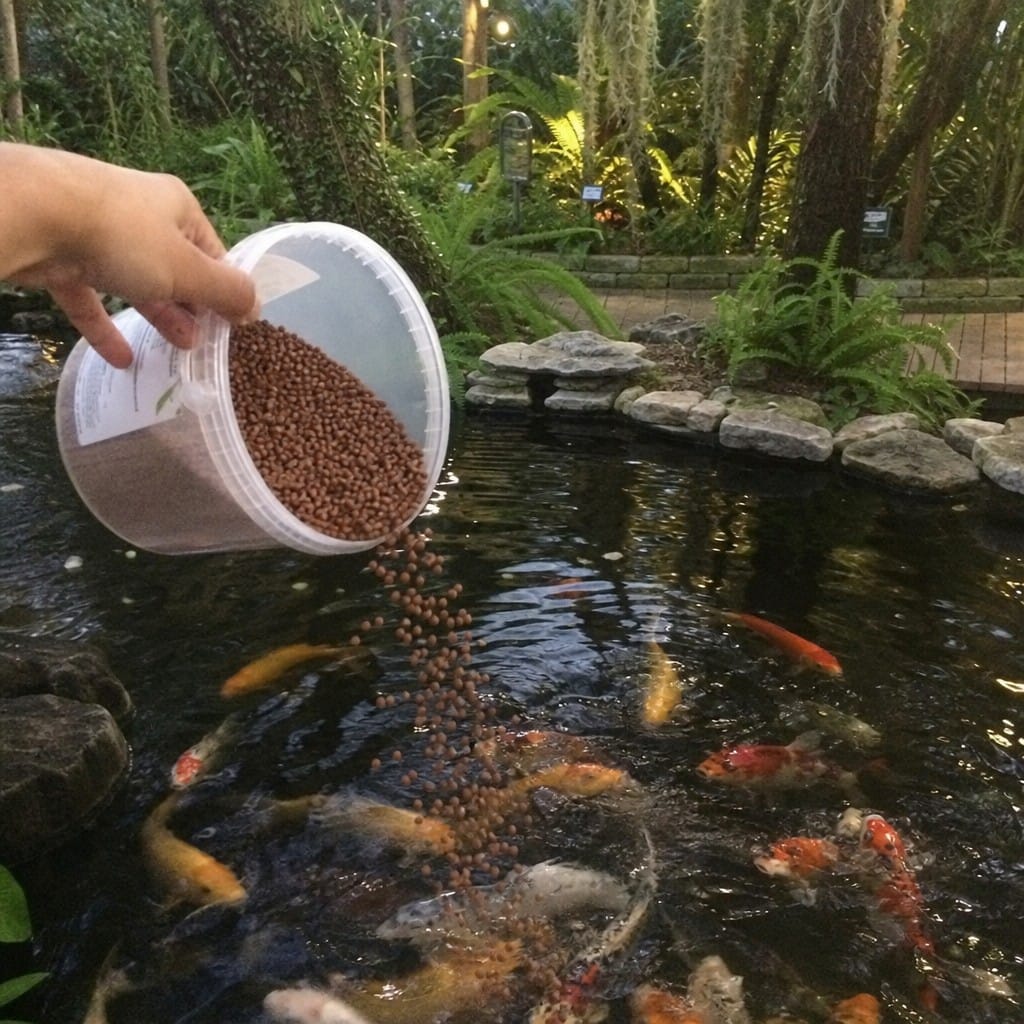 Customer photo review of Premium Koi Growth Food UK | High Protein Floating Pellets | All Pond Fish | 2.5kg