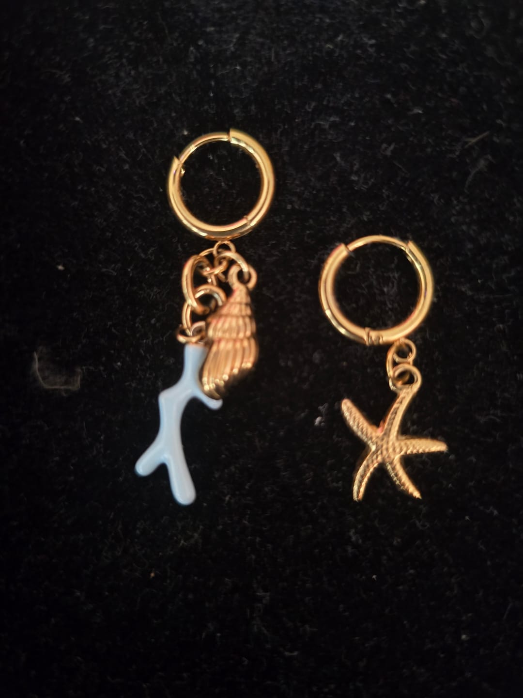 Customer photo review of Hoops Sea Life