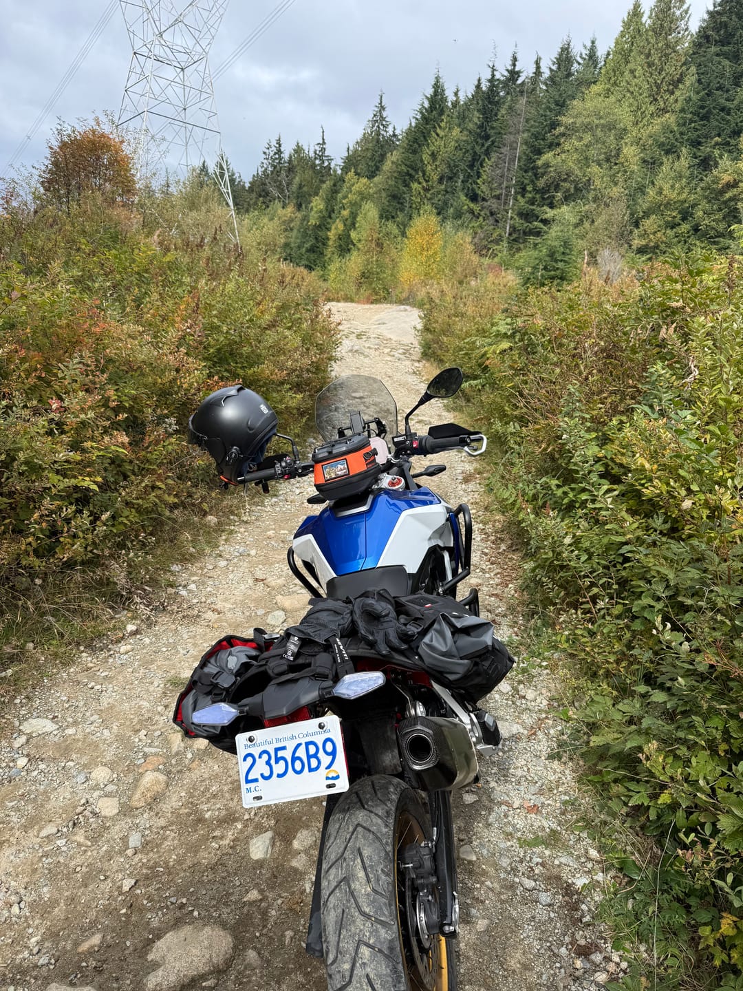 Customer photo review of ADVBags 45 – Rackless Saddle Bags