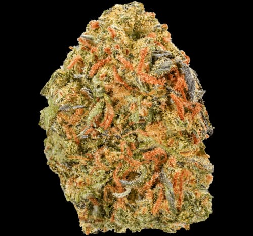 Customer's Heavy OG flower, a dense, resinous cannabis bud with light green tones and prominent orange hairs.