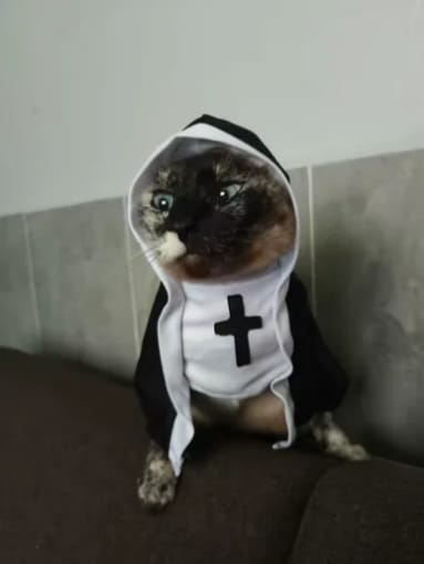Customer photo review of Nun Costume for a Purrfect Halloween