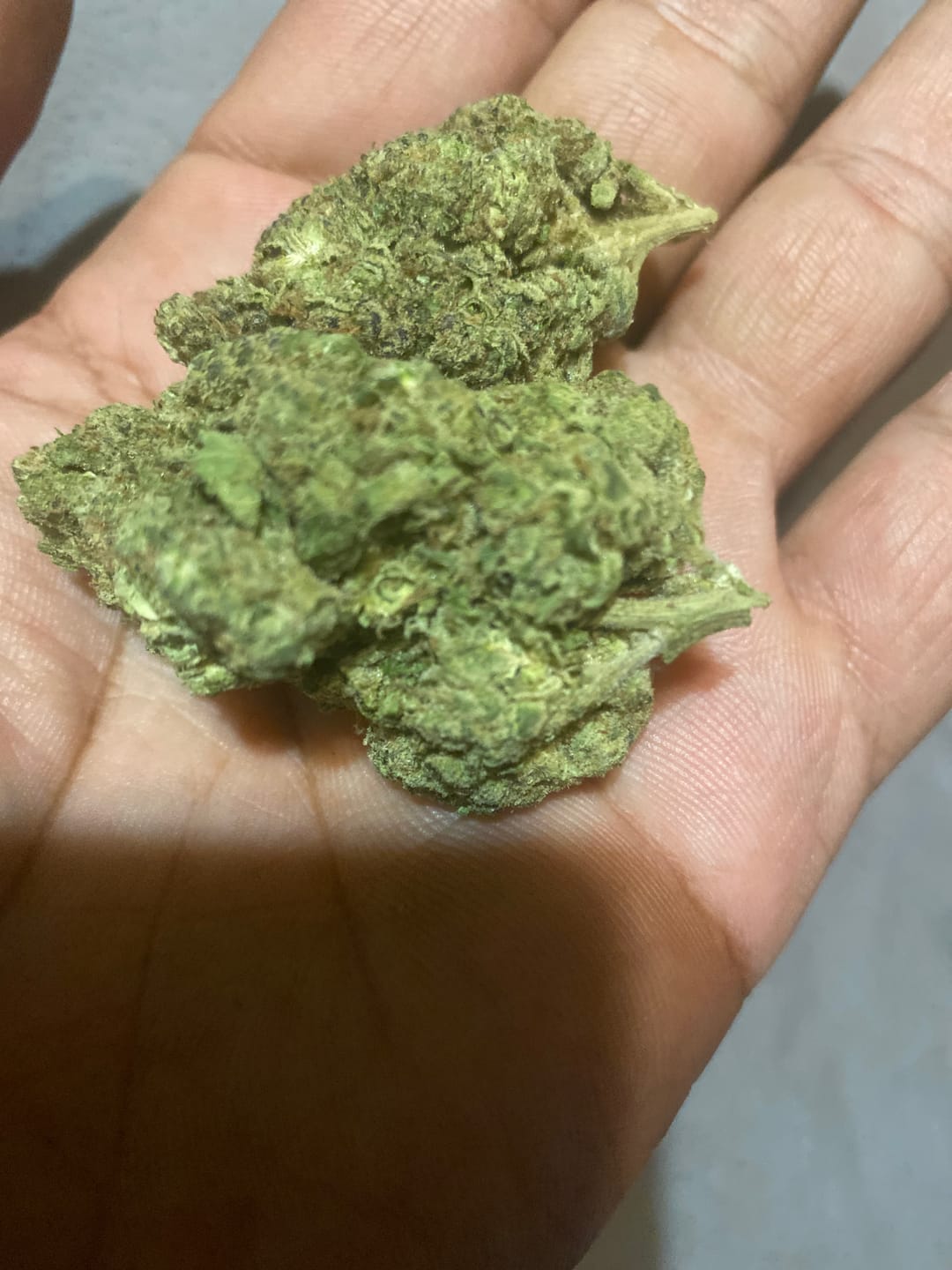 Customer photo review of Khalifa Kush THCA Flower