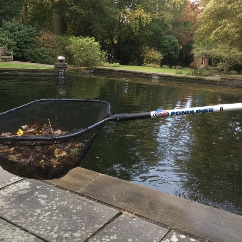 Customer photo review of Heavy Duty Pond Skimmer Net UK | Self-Repair Mesh | Long Handle | Leaves & Debris