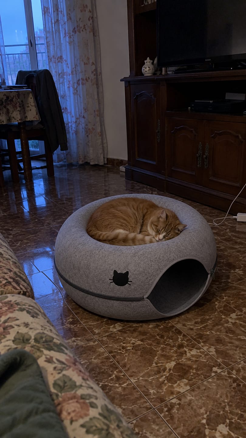 Customer photo review of Túnel Antiaburrimiento para Gatos