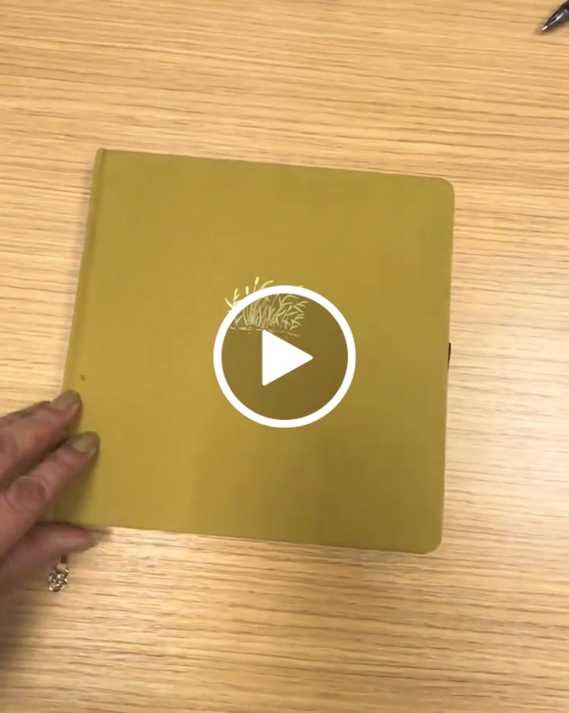 Customer video review of Elliptical Planner Stickers
