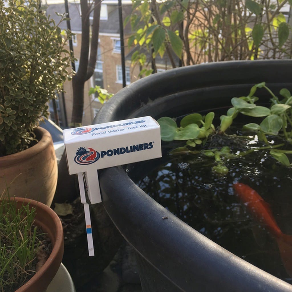 Customer photo review of Pond Water Test Kit UK | Tests pH, Ammonia, Nitrite & More | Koi & Garden Ponds