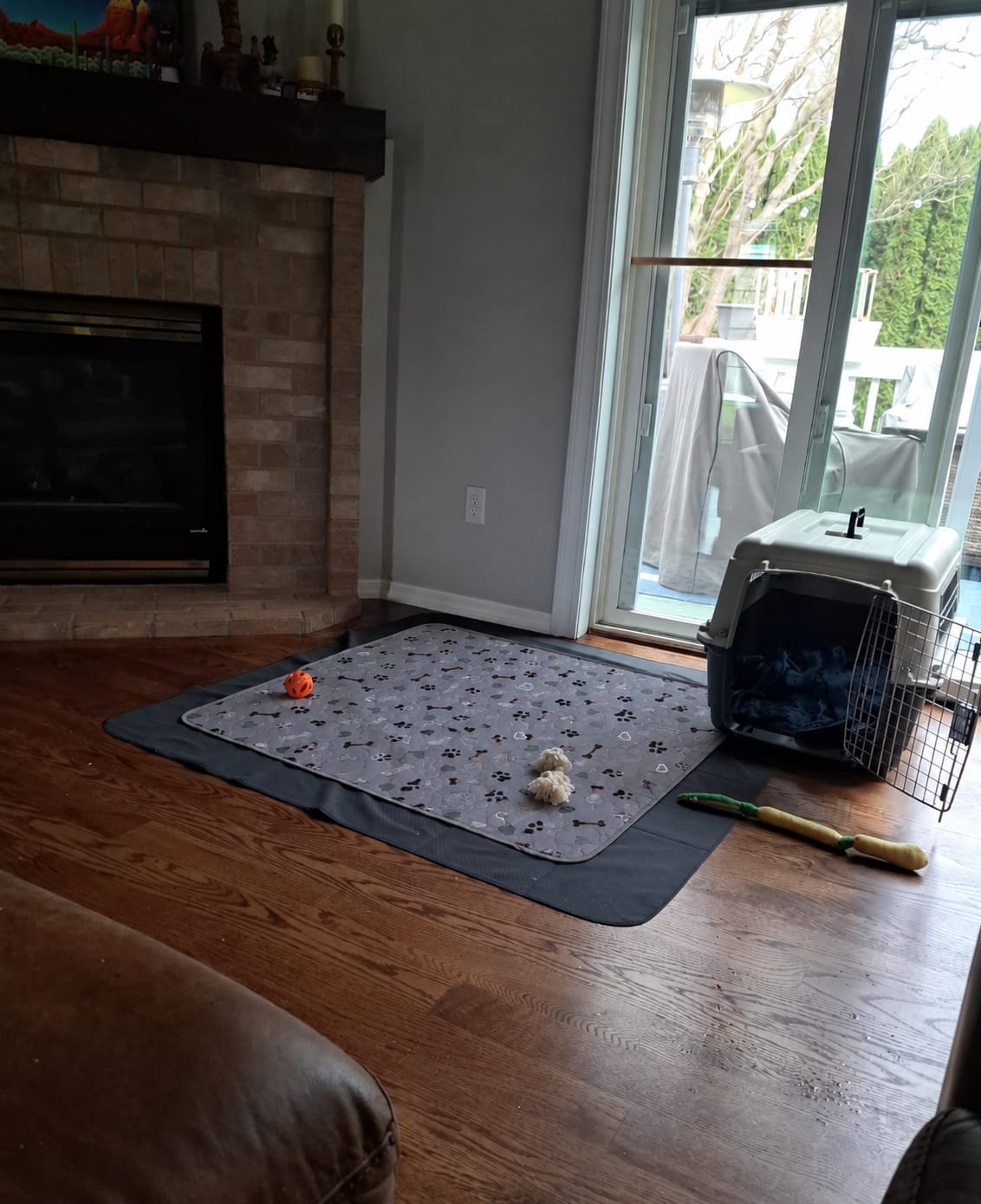 Customer photo review of Pawloo™ Tapete Inteligente para Perros