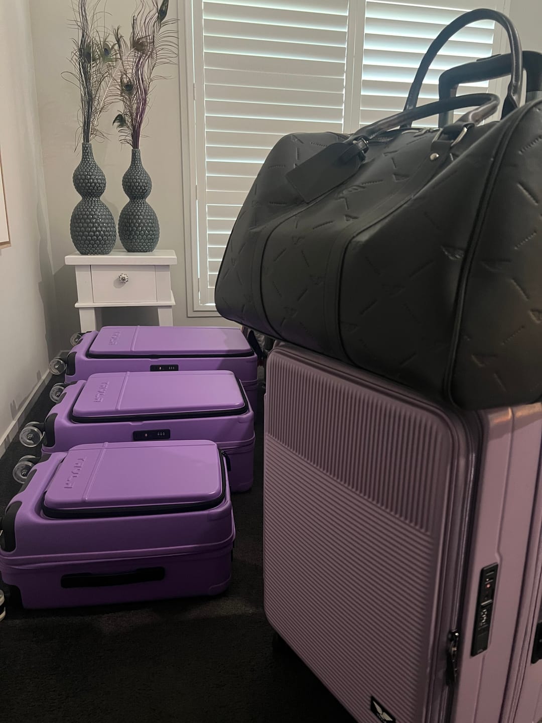 Customer photo review of The Trio